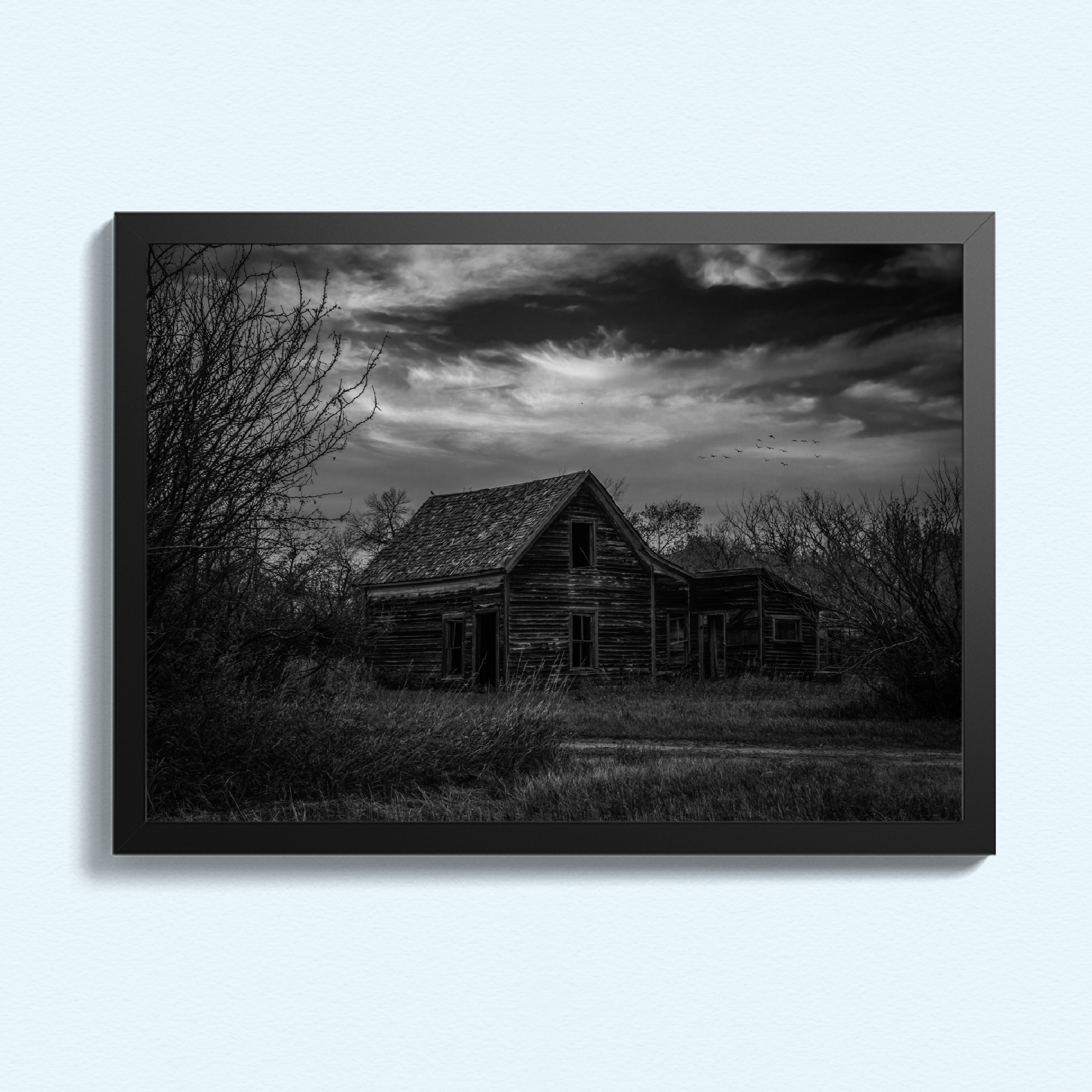 FARM HOUSE - BLACK & WHITE