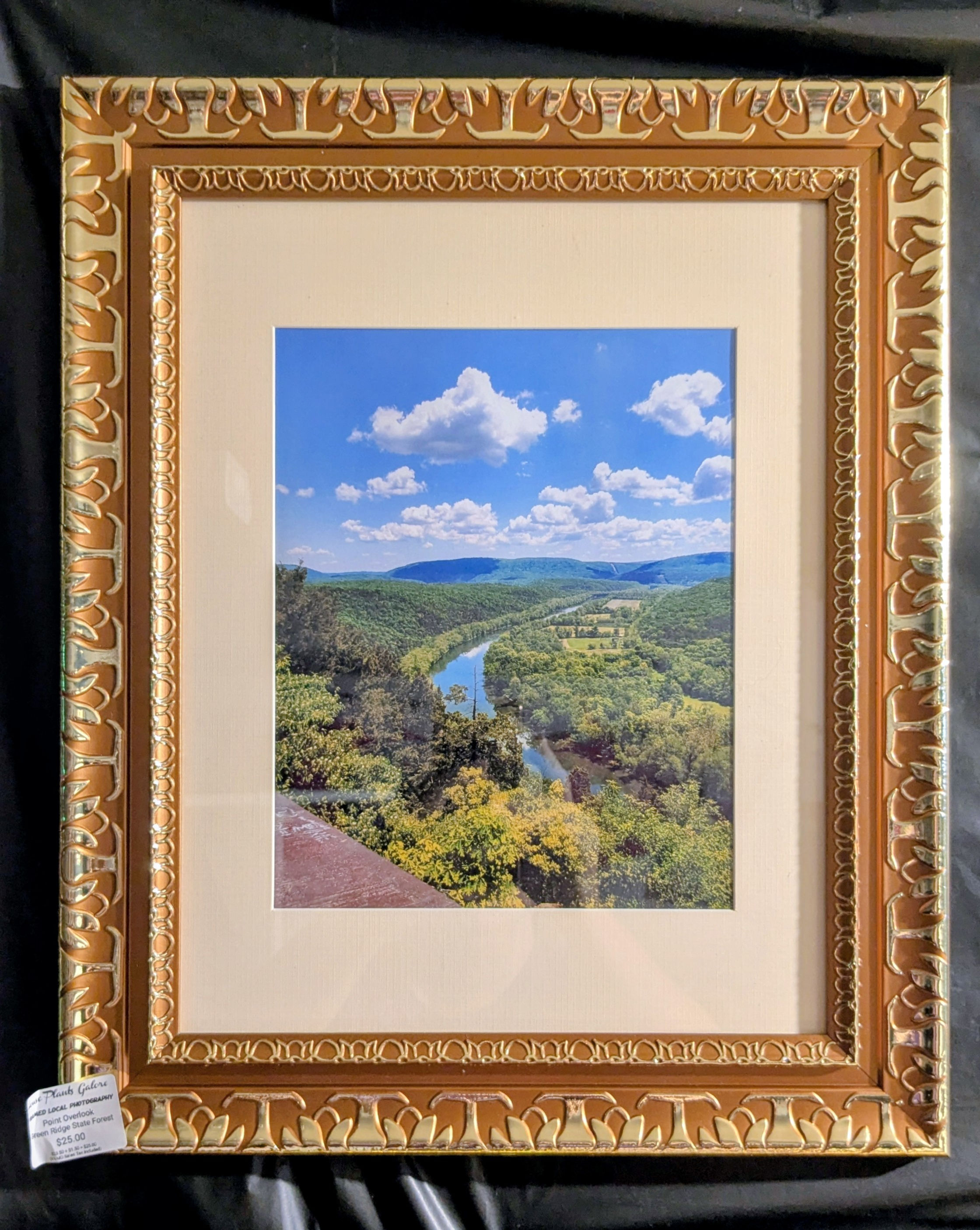 Overlooking the Potomac River (Point Overlook at Greenridge State Forest)