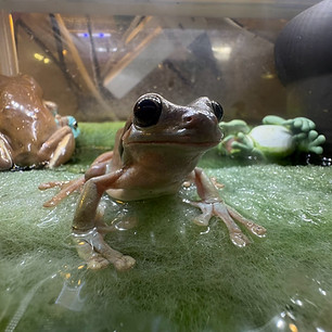 LINE_ALBUM_良い写真撮れたら生き物アルバム_261021_2.jpg