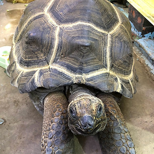 LINE_ALBUM_良い写真撮れたら生き物アルバム_261021_22.jpg