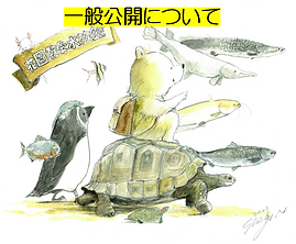 スクリーンショット 2026-10-26 154617.png