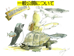 スクリーンショット 2026-10-26 154617.png