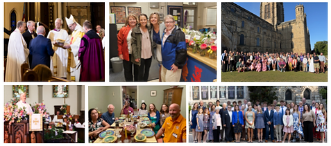 Screenshot 2025-11-12 at 2.50.08 PM.png