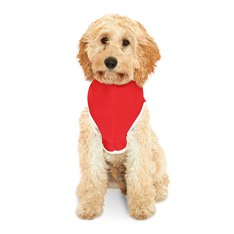 Thumbnail: Pet Hoodie
