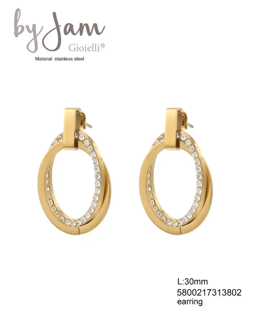 Stainless steel oorbellen