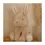 Thumbnail: Little Dutch Bunny knuffel