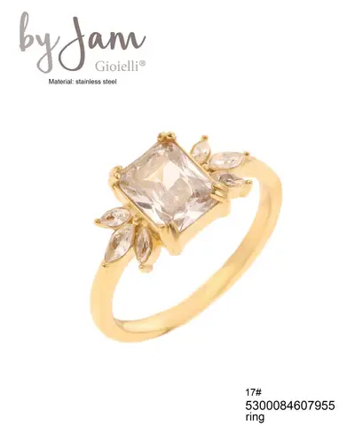 Ring stainless steel