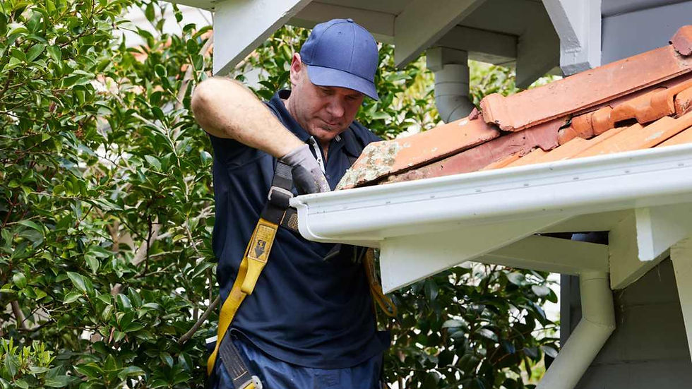 How Gutter Cleaning Melbourne Helps Protect Your Property