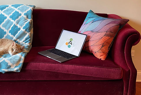 AmalgamCouchZoomedwOscar.jpg