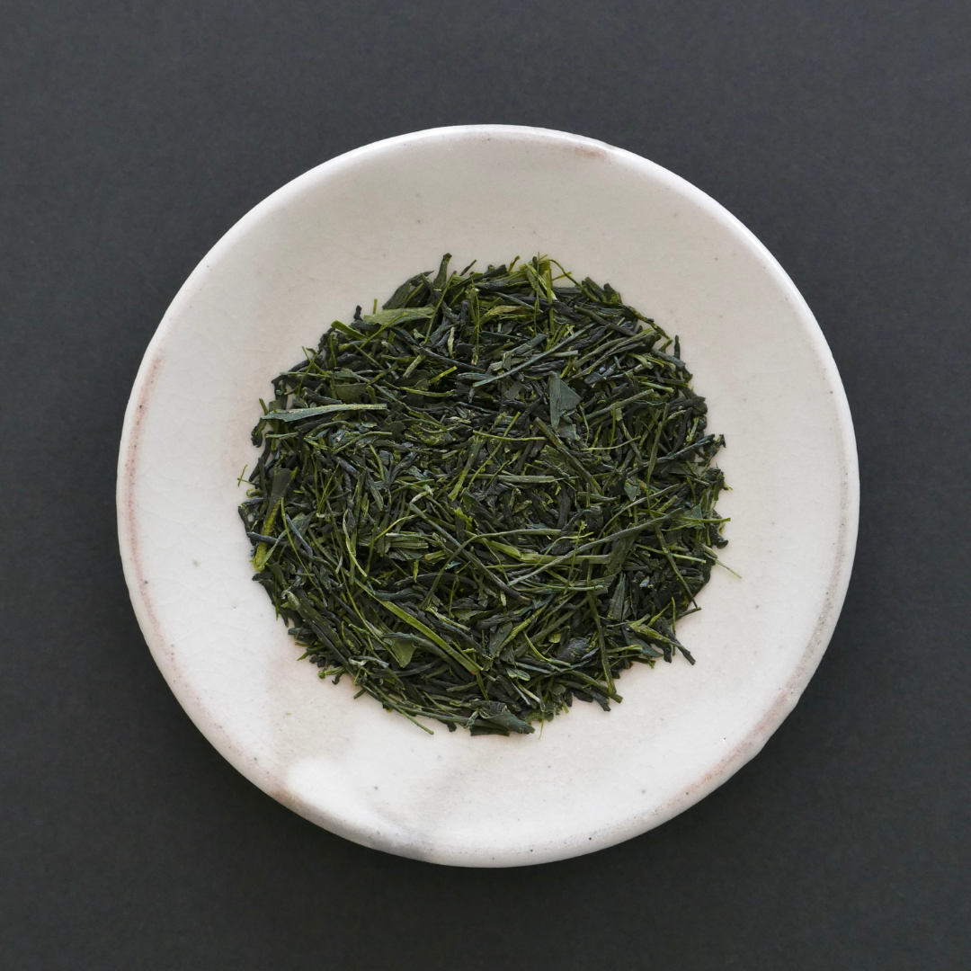 八女傳統本玉露 - 冴緑 / Yamedentouhongyokuro - Saemidori