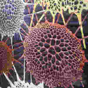 Festival of Quilts - WINNER ART QUILT - Vertex by Betty Busby