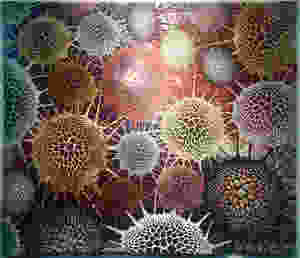 Festival of Quilts - WINNER ART QUILT - Vertex by Betty Busby
