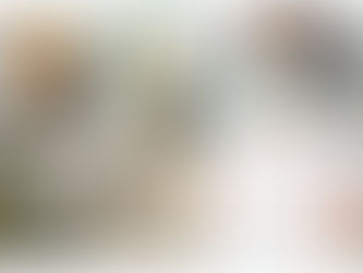 Protocolos de Segurança