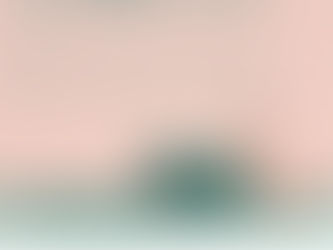 EXERCÍCIOS FÍSICOS