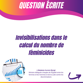 Invisibilisations dans le calcul du nombre de féminicides