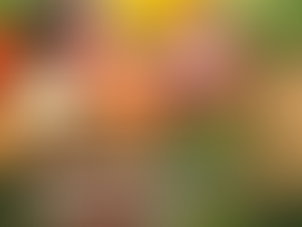 Nourishing Your Hair: A Vitamin-Packed Guide 💇♀️✨