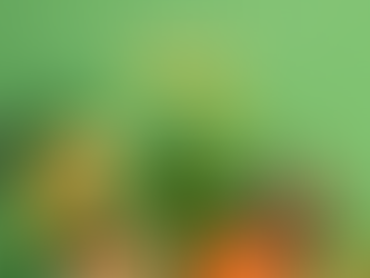 The Role of Diet in Scalp Health: How a Balanced Diet Affects Your Scalp and Hair Health