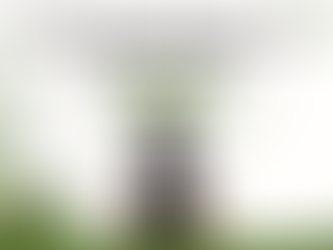 Hair Care Routine for Busy Moms