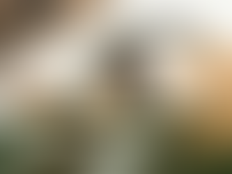 Stress: The Silent Saboteur of Your Hair