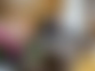 Franciane Bayer vota a favor do PL que institui a Semana Maria da Penha nas escolas