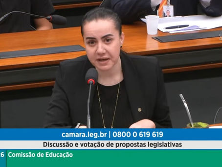 Comissão de Educação aprova pareceres de Franciane Bayer sobre inclusão e acessibilidade no ensino