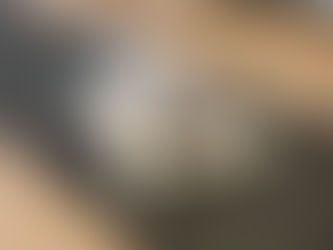 B-CHANGEで作製したBCアーチサポートとスポーツシューズの写真