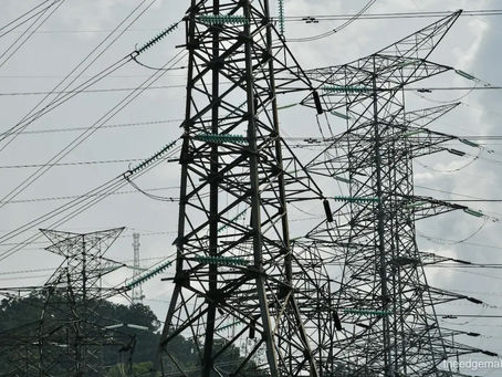 RE surcharge exemption for grid-based green power, open market power programme starting August—Energy Ministry