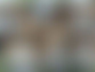 Gen Z is house hacking