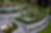 Untitled design - 2025-02-07T101239_edited.png
