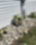 rock.PNG