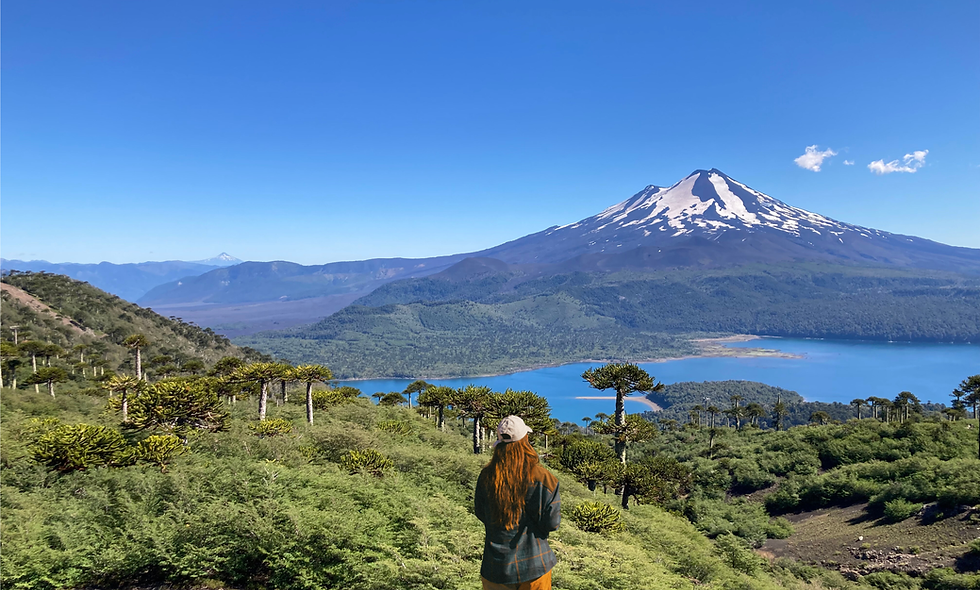 couverture émotionnel 2.png