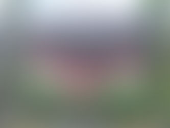 5ter Monat Juli 2015