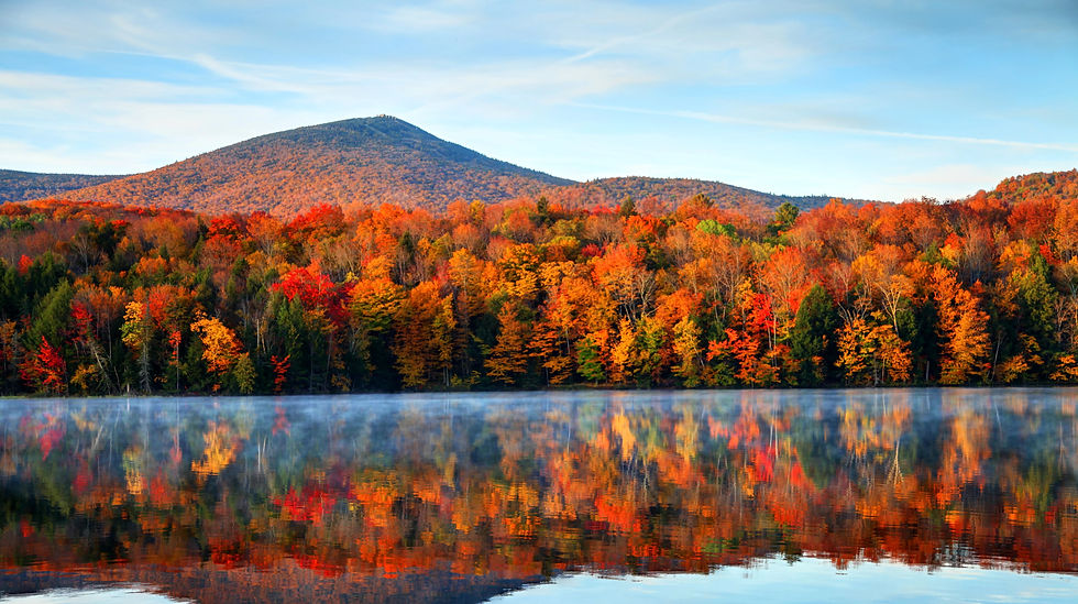 Vermont Fall Foliage.jpg