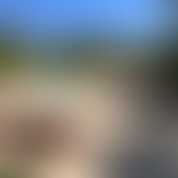 Four Seasons Los Cabos at Costa Palmas