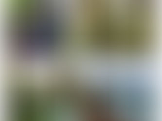 Curtain Bluff, Antigua