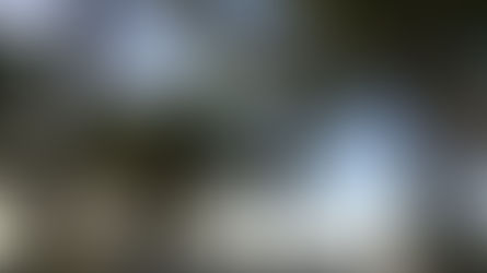 Our Visit: Curtain Bluff, Antigua