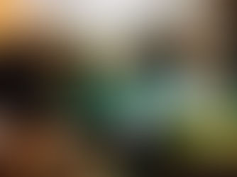 Riviera Maya: Underground Caves & Cenotes