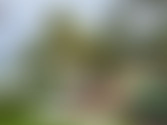 Our Visit: Half Moon Jamaica