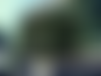 Le Pavillon de la Reine, Paris