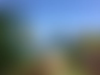 Our Visit: Tryall Club Jamaica