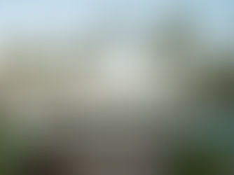 Which Rosewood Resort Is Right for You? Mandarina, Mayakoba, Las Ventanas or Kona Village