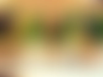 Four Seasons Austin: College Football Begins...