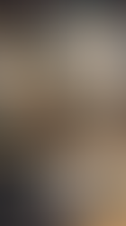 A Dog of Flanders: Patrasche and Nello... guided by an angel...