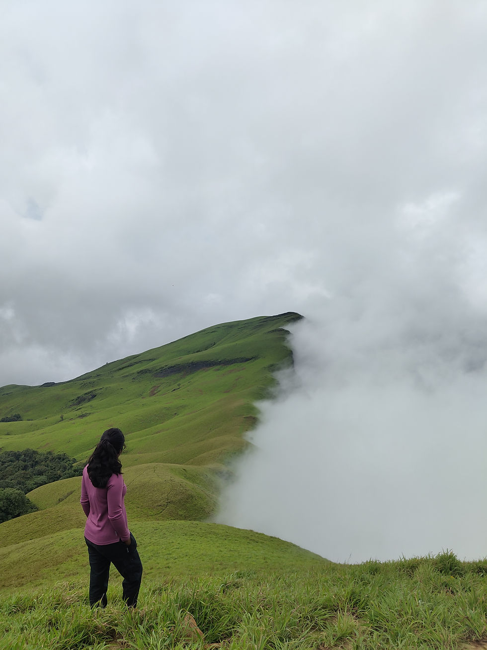 Scenic view from Netravathi Trek summit in Karnataka with lush green valleys and misty mountains