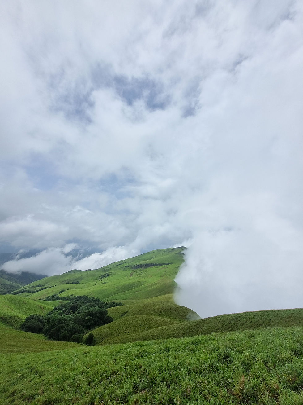 Scenic view from Netravathi Trek summit in Karnataka with lush green valleys and misty mountains