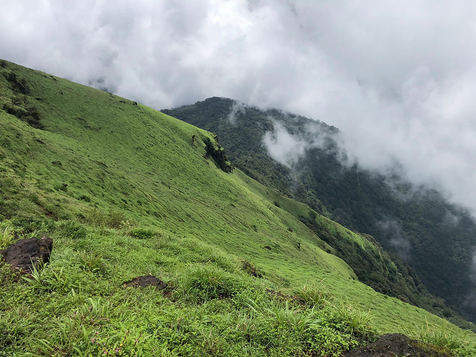 kodachadri