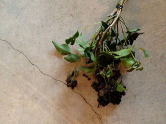 お休みさせて頂きます。