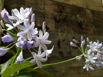 訂正します、そしてお知らせ