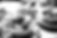 _L8U3775-3_edited_edited.jpg