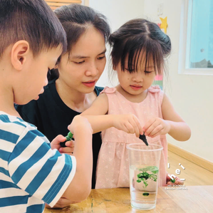 Tại HEI Schools, khi làm việc cùng ba mẹ, chúng tôi thường bắt đầu từ một câu hỏi rất đời thường: “Khi nào thì mình nên can thiệp, và khi nào thì nên lùi lại?”.